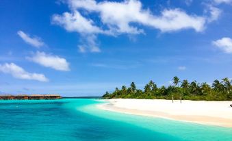 a serene beach scene with a sandy shoreline , clear blue water , and a few small islands in the distance at Noku Maldives