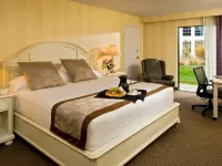 Margaritaville Resort Cape Cod Hotels in Barnstable