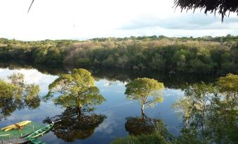 Amazon Island Jungle Lodge