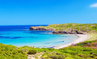 a beautiful beach with clear blue water and white sand , surrounded by lush green vegetation at Sol Y Mar