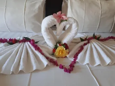 Zeny Lodge Hotels in 
