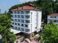 Thermal Saray Hotel & Spa Yalova Hoteles en Termal