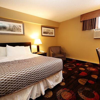 Deluxe Queen Room with Kitchen Stonebridge Hotel Promo Code