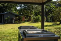 Daintree Beach Resort