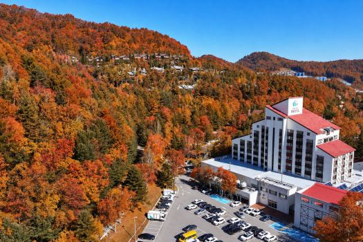 Mona Yongpyong Hotel