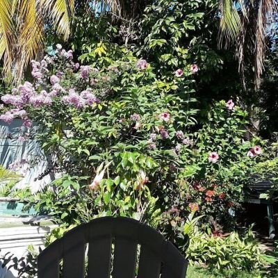 Single Room Powell's Guesthouse Promo Code