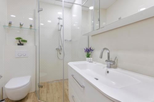 带有玻璃露台和阳台的高级公寓