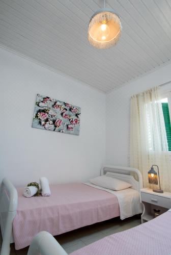 高级两卧室公寓