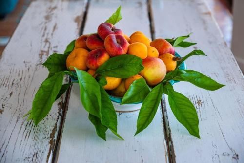 别墅（带独立泳池）