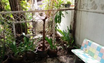 Big Mango Tree Guesthouse