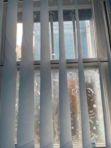 小型半地下双床间