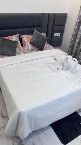 三卧室公寓套房