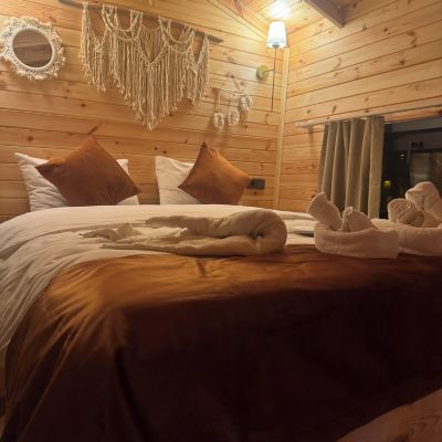 Design Tree House Agva Green River Otel Promo Code
