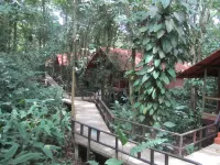Foresta Lodge Hotels in 