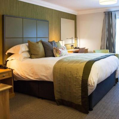 Executive Twin Room Trout Hotel Promo Code