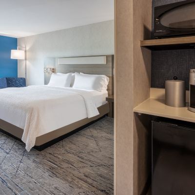 Mobility Accessible King Room with Tub Holiday Inn Express Hotel & Suites Dewitt - Syracuse, an IHG Hotel Promo Code