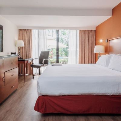 Executive King Room with Pool View HS Hotsson Hotel Tampico Promo Code