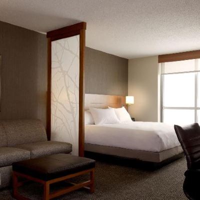 無障礙特大床房帶浴缸 羅利達勒姆機場凱悅嘉軒飯店優惠