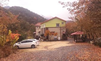 Wolaksan Blooming Village Pension