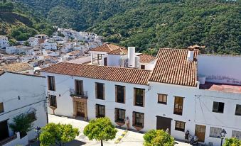 Benarrabá Hostel - Housity
