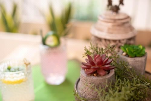 海景标准三人房