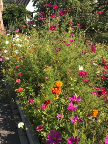 带山景的双人间