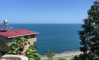 Yesil Vadi Apart Otel - Housity