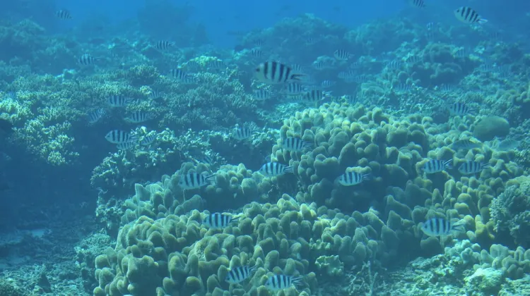 ホテル シギラミラージュ 施設