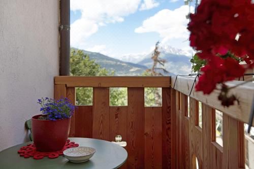 高级一卧室带阳台公寓