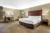 Comfort Inn & Suites Sea-Tac Airport