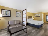 Best Western Fallon Inn Suites Hotels in Fallon