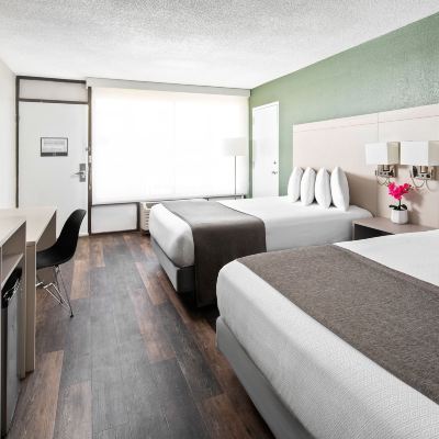 2 Queen Beds, Garden Room, Non-Smoking Avanti Palms Resort and Conference Center Promo Code