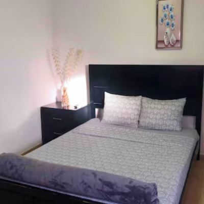 Apartment 1 Genesis Apartments Promo Code