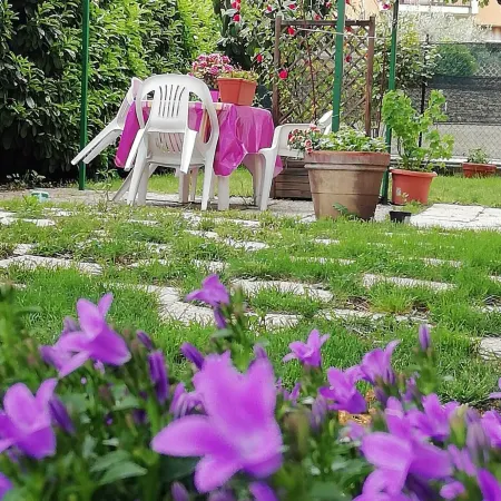 B&B Il Cedro