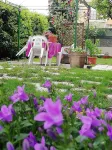 B&B Il Cedro Hotel di 