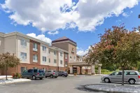 Comfort Suites Hotels in 