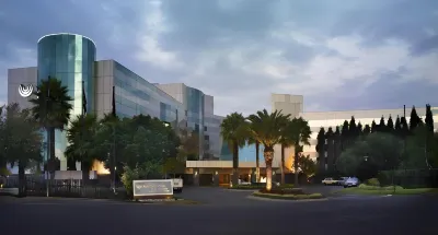 Southern Sun or Tambo International Airport Hotels in 