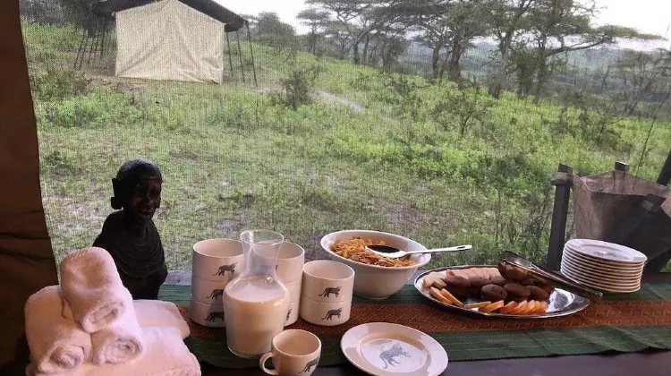 The Royal Migration Camp 食事・レストラン