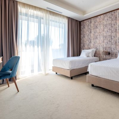 Business Twin Room with Balcony Stein Collection Promo Code