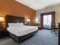 BestWestern Plus Luling Inn Hotels in Luling