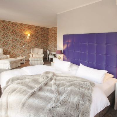 Junior Suite In Der Waldresidenz Schloss Basthorst Promo Code