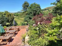 Bron-Y-Graig