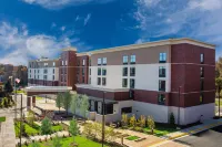 弗吉尼亞萊斯頓希爾頓Homewood Suites飯店