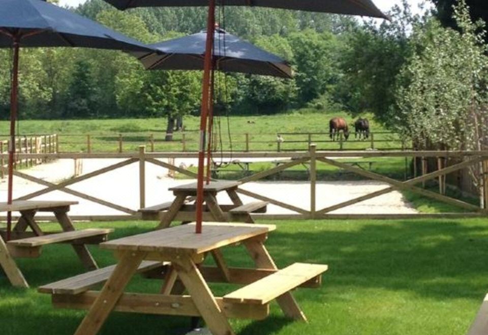 a wooden picnic table with an umbrella is set up in a grassy field near a horse grazing in the background at The Star