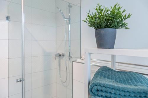 高级一卧室公寓