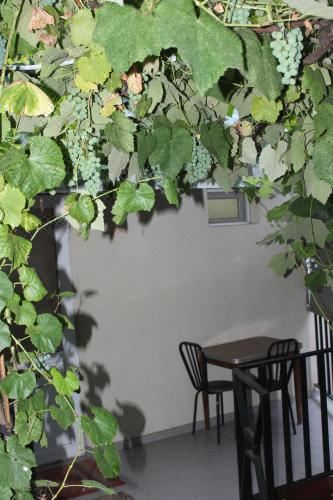 家庭房（带阳台）