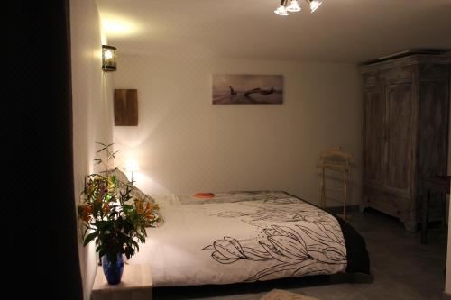 双人间 - 带露台和外部厨房