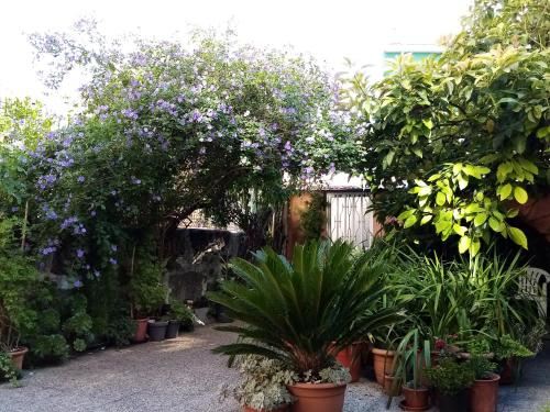 带露台一室公寓