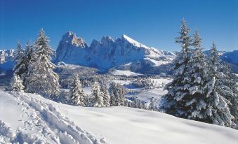 a snow - covered mountain range with a clear blue sky and trees in the foreground , and a snowy path leading through the scene at Adler Spa Resort Dolomiti