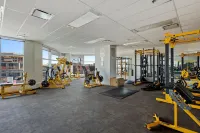Stylish Downtown Condos by Globalstay